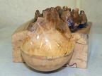 IMG 0864