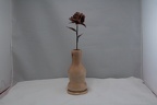IMG 6761